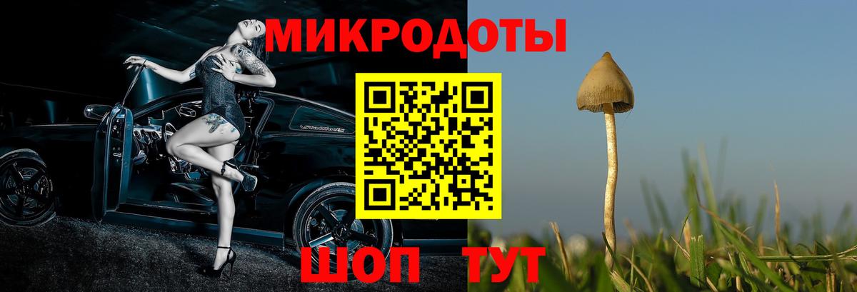Псилоцибиновые грибы Psilocybine cubensis  даркнет сайт  Новотроицк  Вход с VPN 
